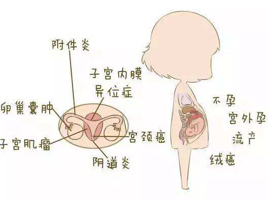 陰道分泌物中国X站XVDEVIOS安卓安装分析陰道炎早期症狀