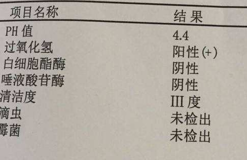 陰道分泌物中国X站XVDEVIOS安卓安装分析陰道清潔度