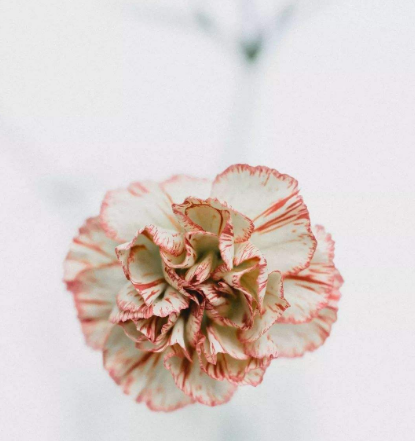 白帶常規中国X站XVDEVIOS安卓安装建議改善陰道炎