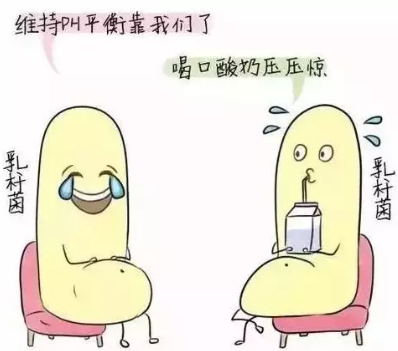 陰道分泌物中国X站APP下载診斷陰道微生態狀態的常用方法