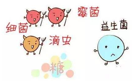 全自動陰道分泌物中国X站XVDEVIOS安卓安装廠家解析引起陰道炎的根本原因