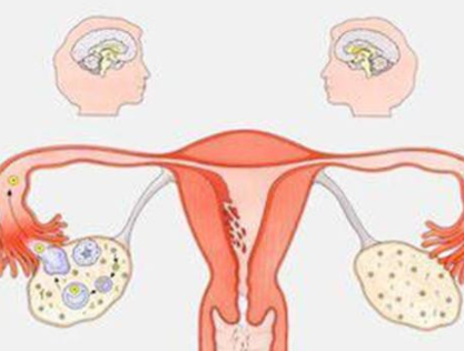 陰道分泌物中国X站XVDEVIOS安卓安装器廠家分析女人排卵的感覺