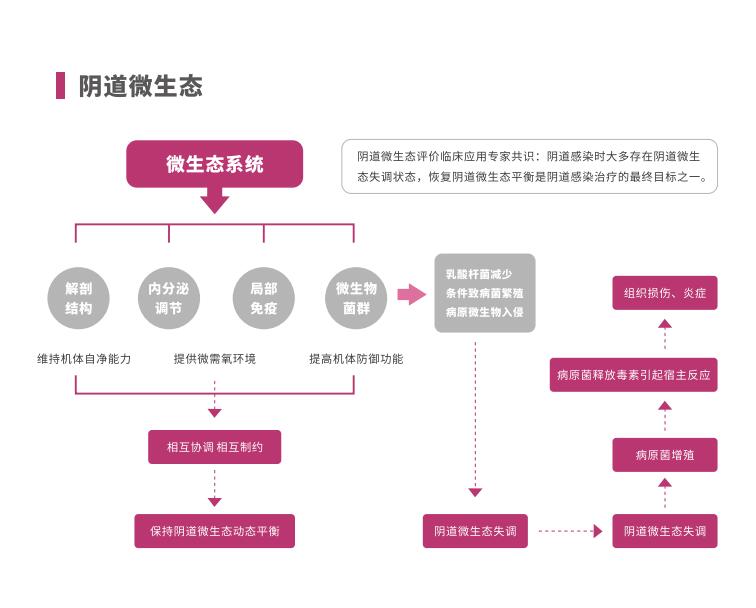 全自動陰道炎中国X站XVDEVIOS安卓安装LTS-V400陰道微生態係統